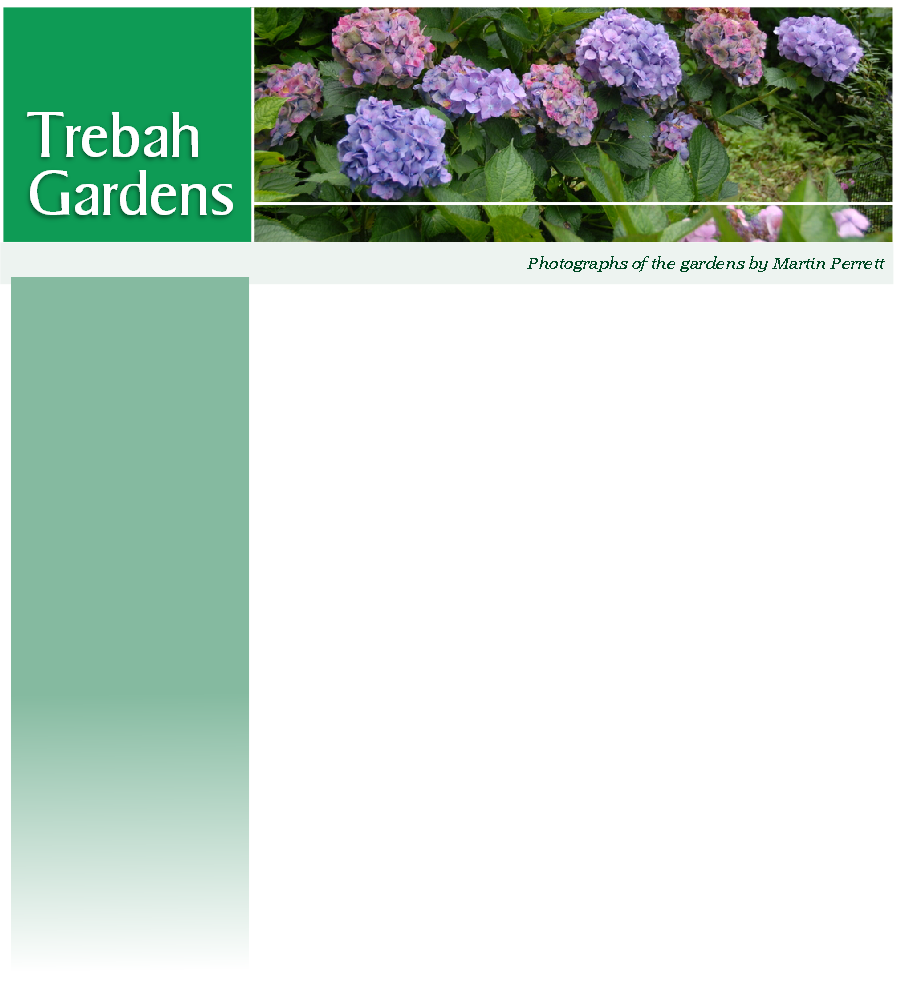 Photographs of the gardens by Martin Perrett