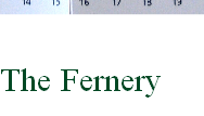The Fernery
